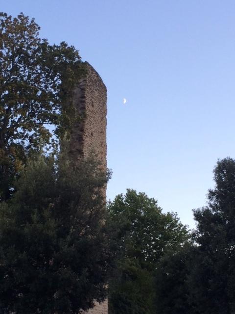 La Dame De Messignac Βίλα Ternand Εξωτερικό φωτογραφία